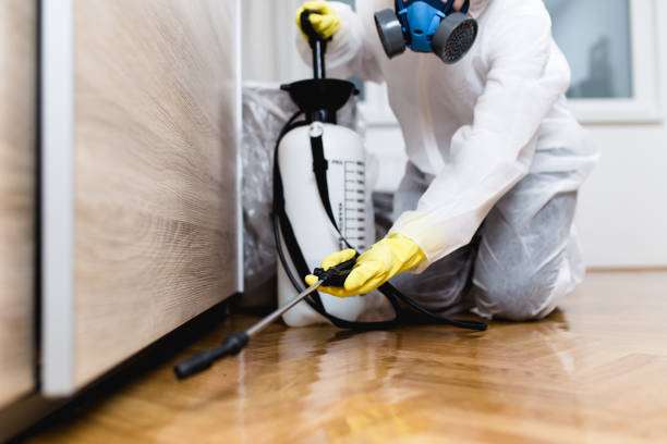 Best Termite Control Services  in Fife Heights, WA
