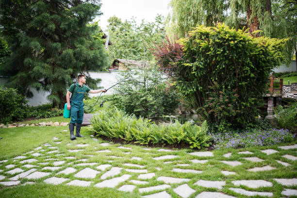 Best Pest Control for Businesses  in Fife Heights, WA