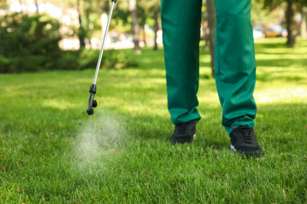 Best Cockroach Control Services  in Fife Heights, WA