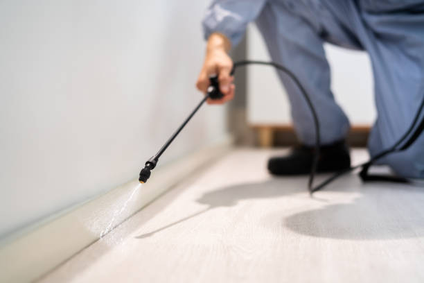 Best Mosquito Control Services  in Fife Heights, WA