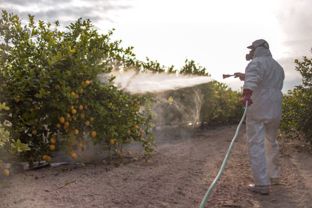 Best Best Pest Control Companies  in Fife Heights, WA