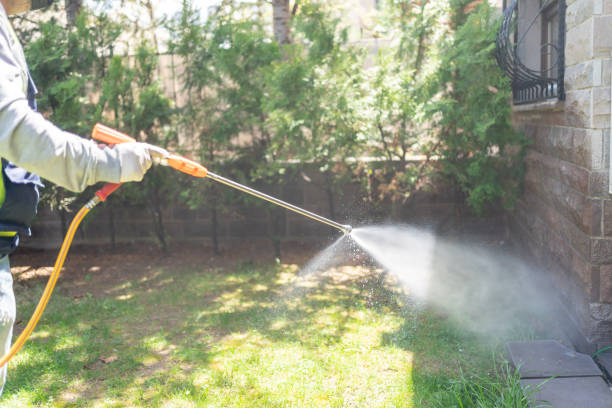 Best Insect Control  in Fife Heights, WA